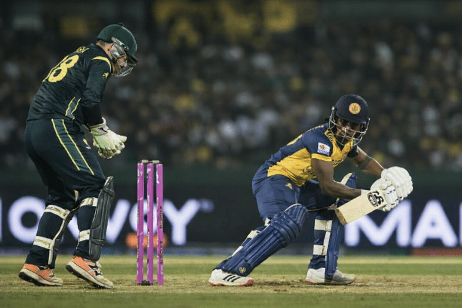 Cricket match under stadium lights